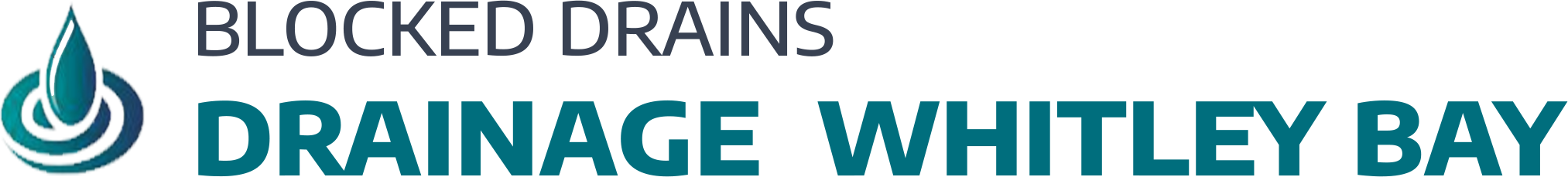 website logo